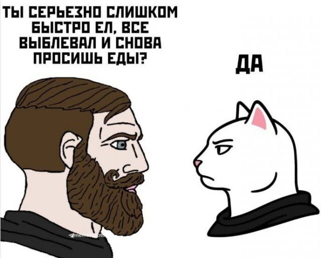 Скрины из соцсетей