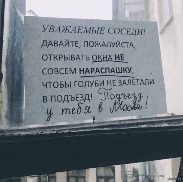 Скрины из соцсетей