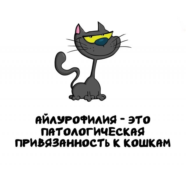 А вдруг ты не знал…