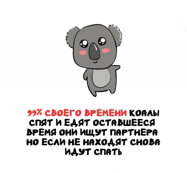 А вдруг ты не знал…