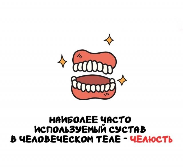 А вдруг ты не знал…