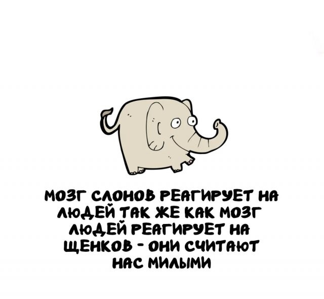 А вдруг ты не знал…