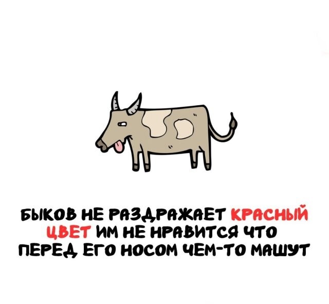 А вдруг ты не знал…
