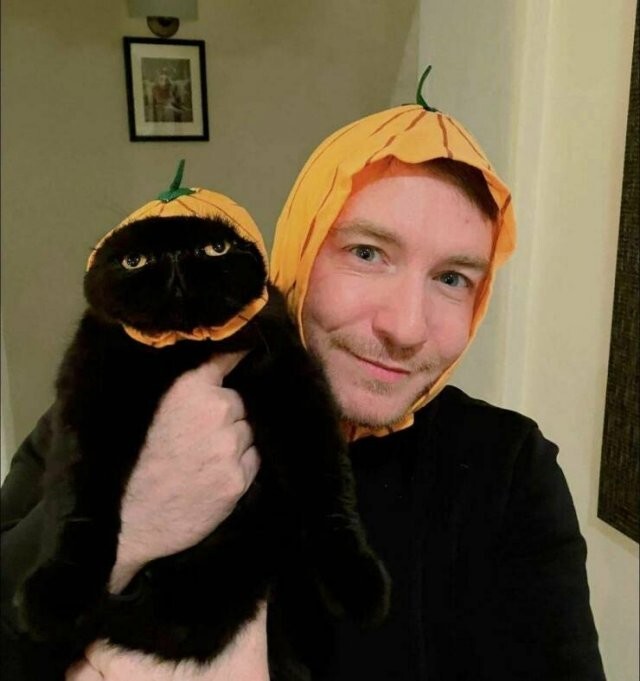 Намешалось