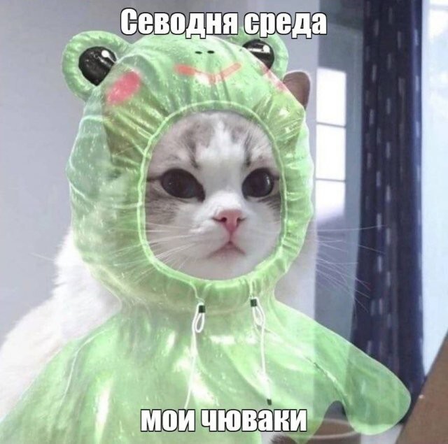 Не ищите здесь смысл. Здесь в основном маразм