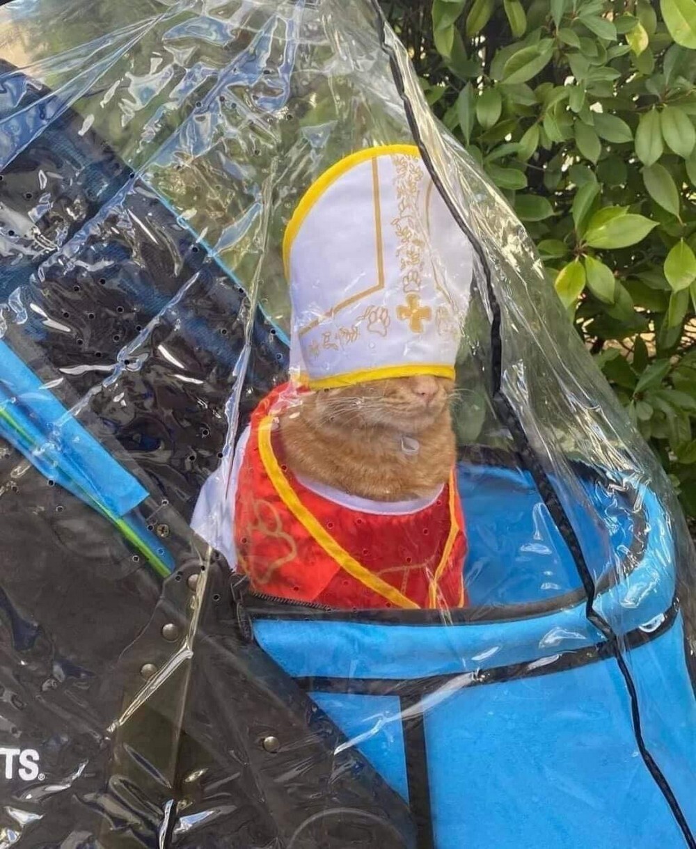 На общую тему 