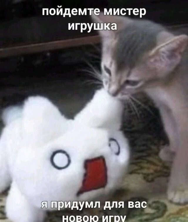 Скрины из соцсетей