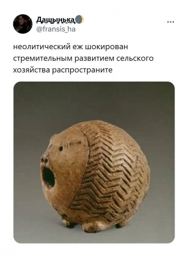 Скрины из соцсетей
