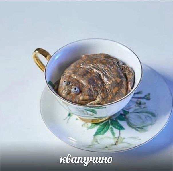 Скрины из соцсетей