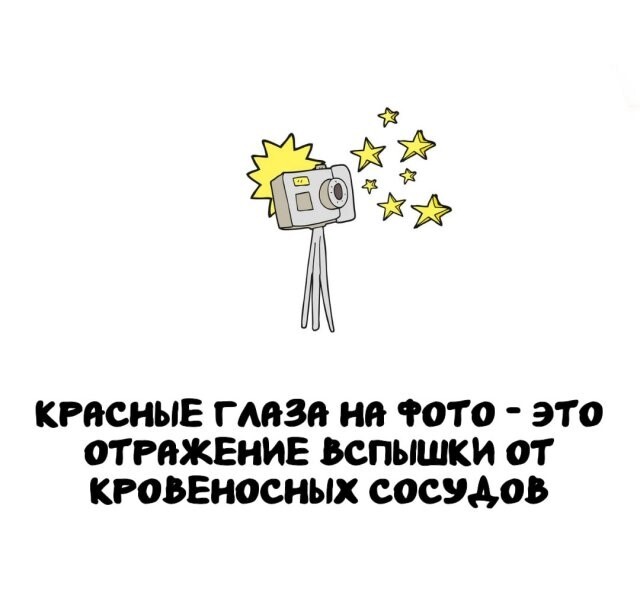 А вдруг ты не знал…