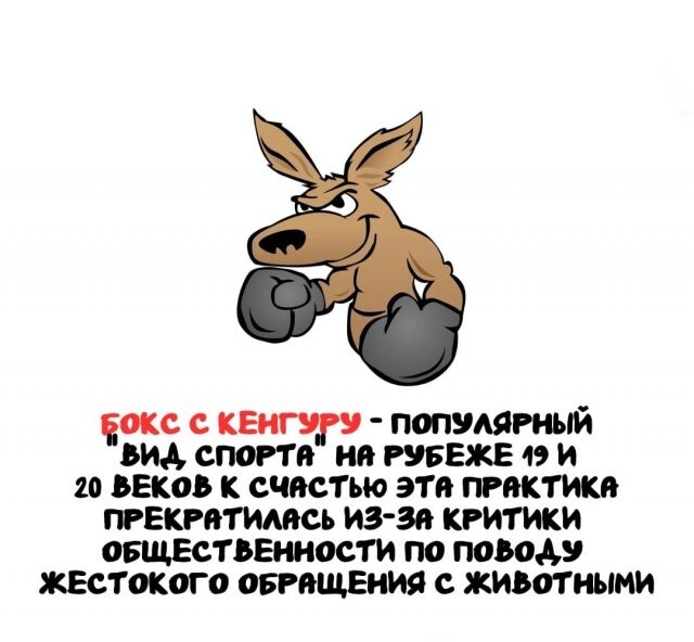 А вдруг ты не знал…