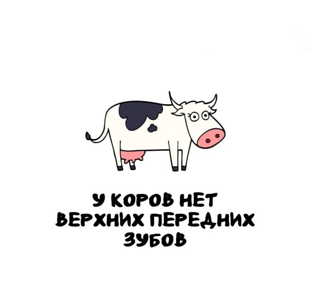 А вдруг ты не знал…