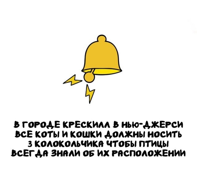 А вдруг ты не знал…
