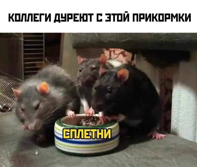 Не ищите здесь смысл. Здесь в основном маразм