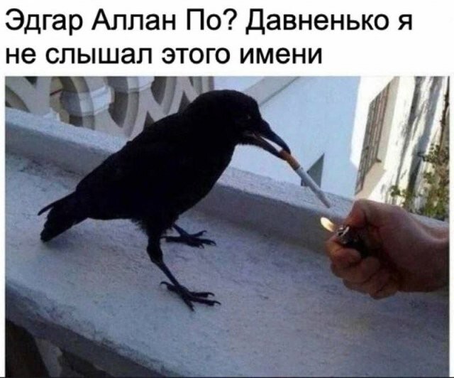 Не ищите здесь смысл. Здесь в основном маразм