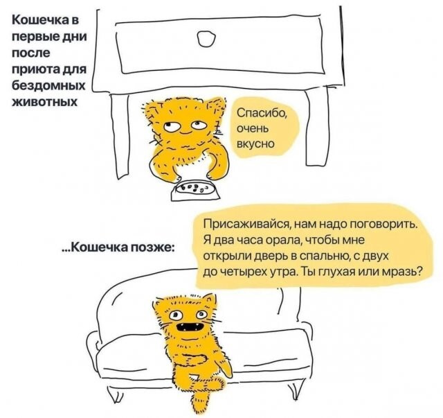 Не ищите здесь смысл. Здесь в основном маразм