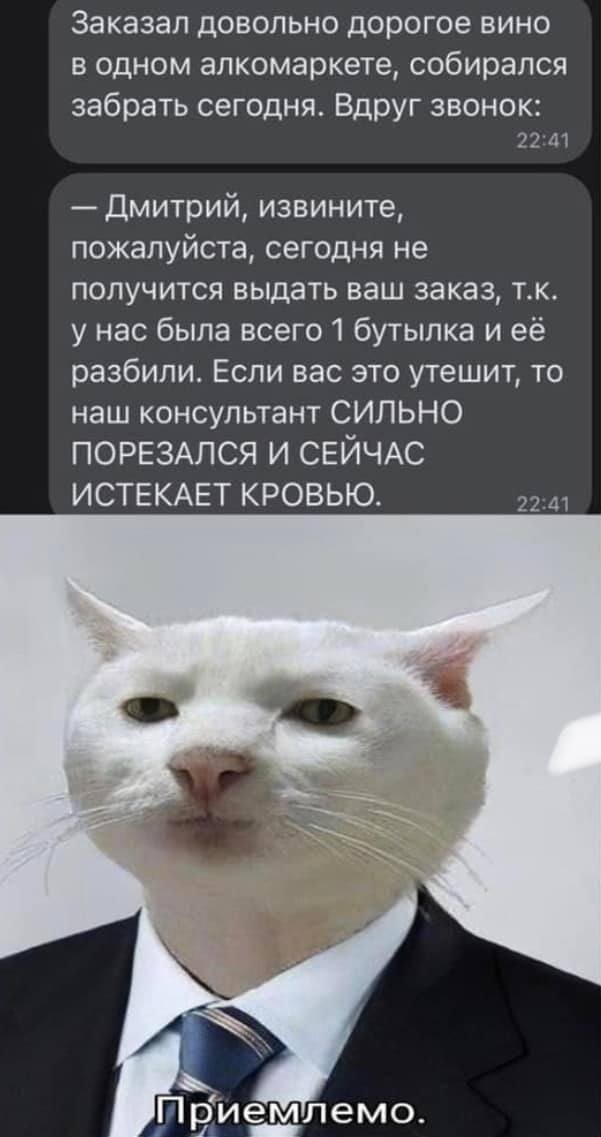 Не ищите здесь смысл. Здесь в основном маразм
