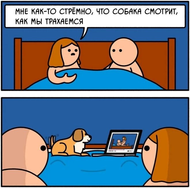 Смешные картинки