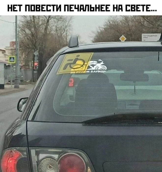 Смешные картинки
