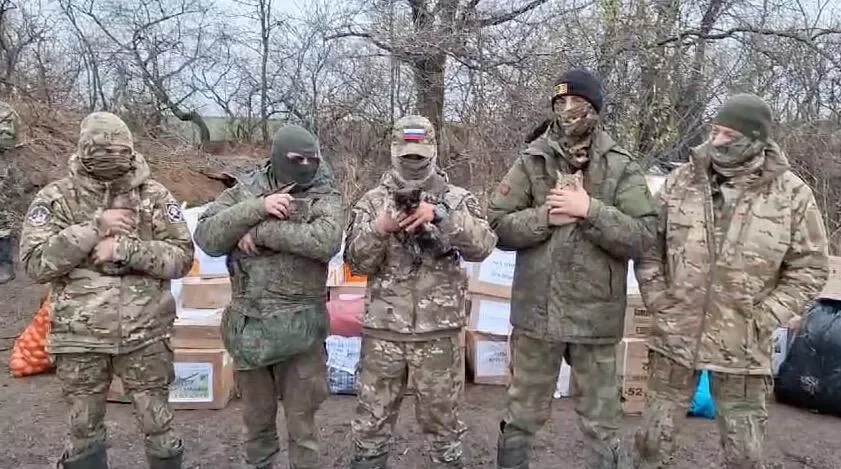 В Театр кошек Куклачева приняли трех боевых котиков из зоны СВО