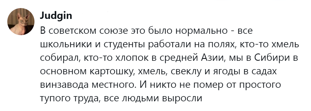 14. Все выросли  людьми