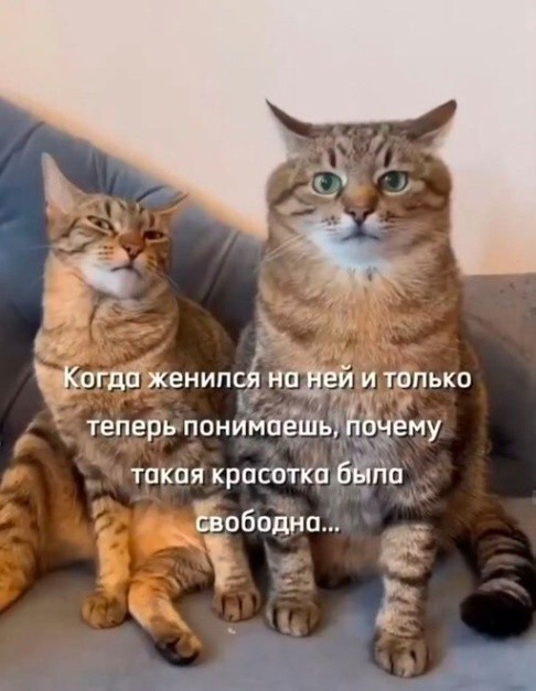 Скрины из соцсетей