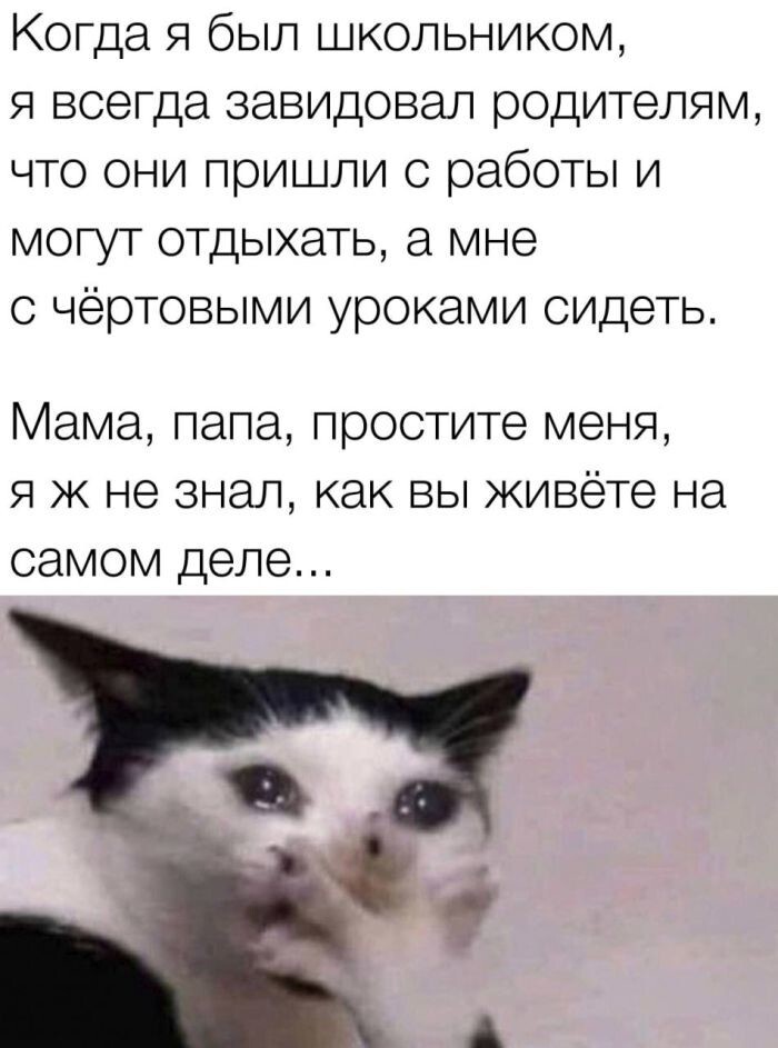 Скрины из соцсетей