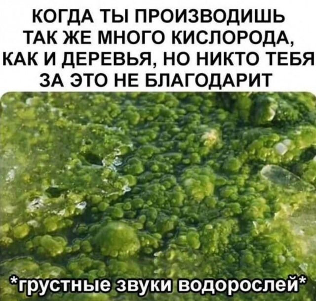 Скрины из соцсетей