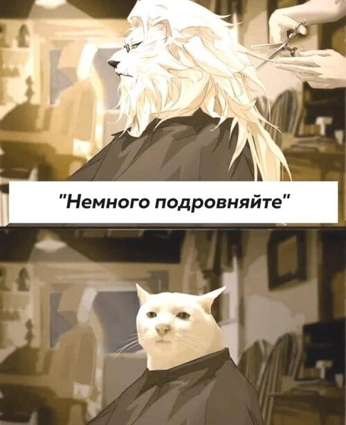 Скрины из соцсетей