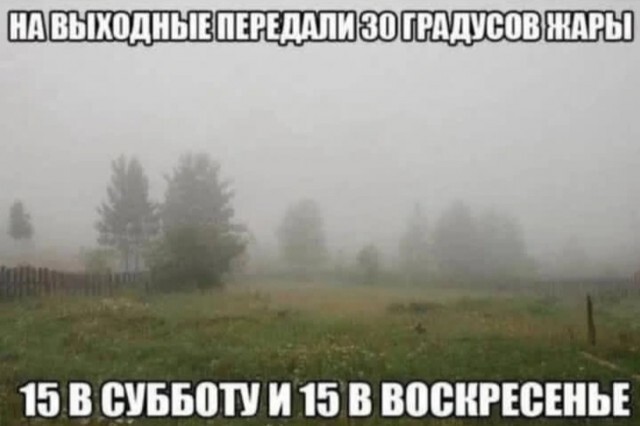 Скрины из соцсетей