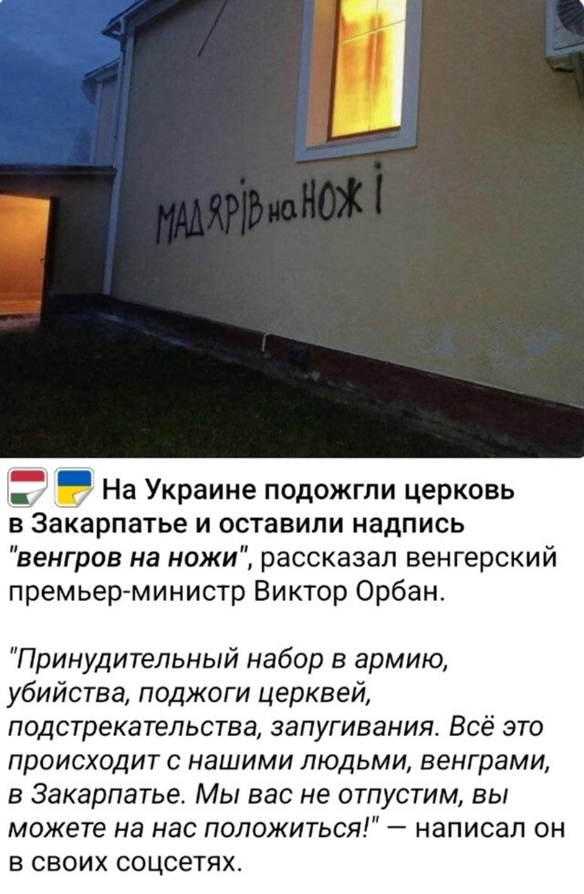 Политический мониторинг (537)