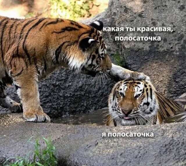 Не ищите здесь смысл. Здесь в основном маразм