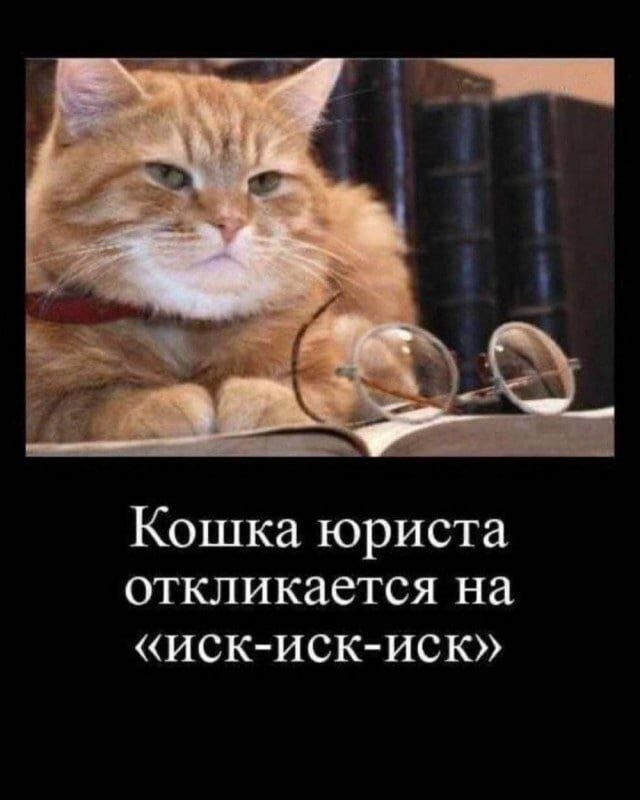 Не ищите здесь смысл. Здесь в основном маразм