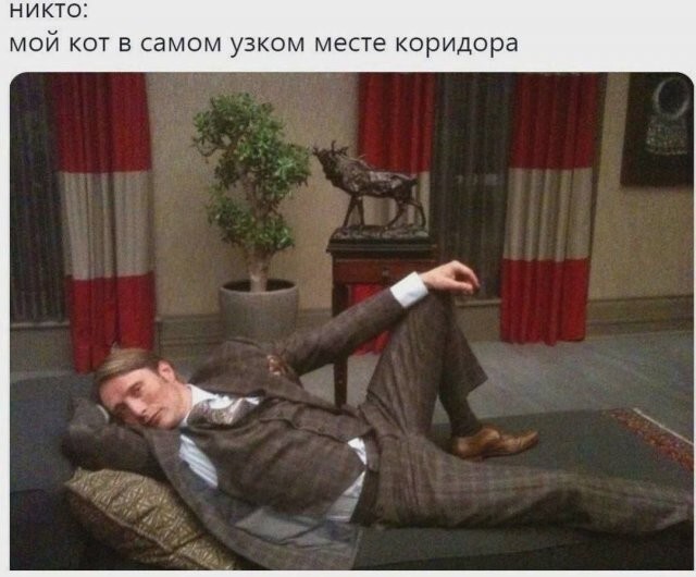 Не ищите здесь смысл. Здесь в основном маразм