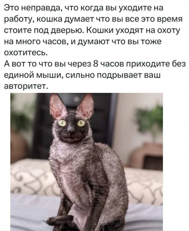 Не ищите здесь смысл. Здесь в основном маразм
