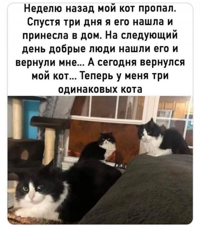 Не ищите здесь смысл. Здесь в основном маразм