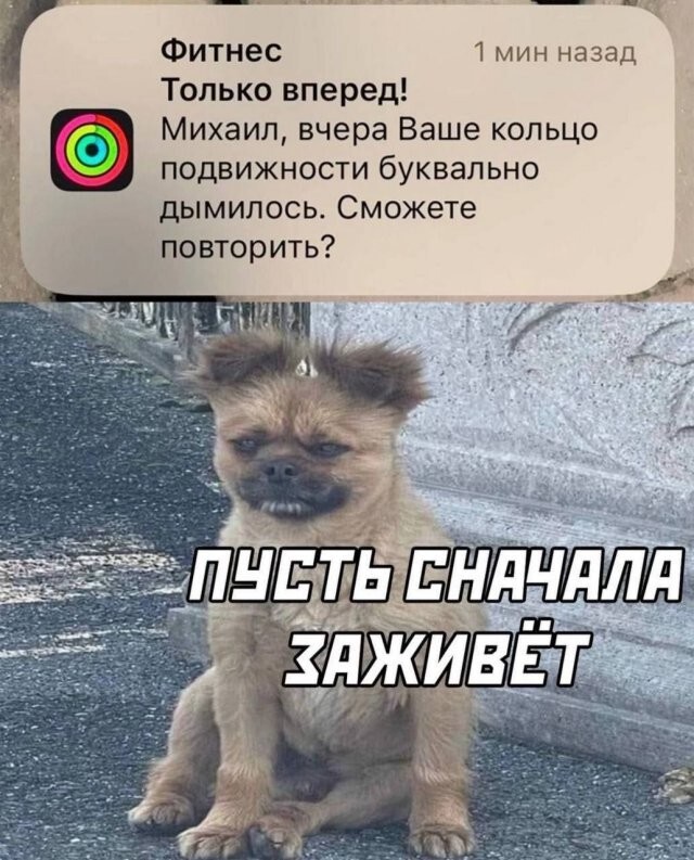 Не ищите здесь смысл. Здесь в основном маразм