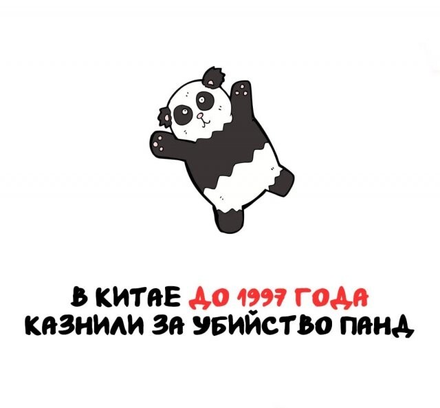 А вдруг ты не знал…