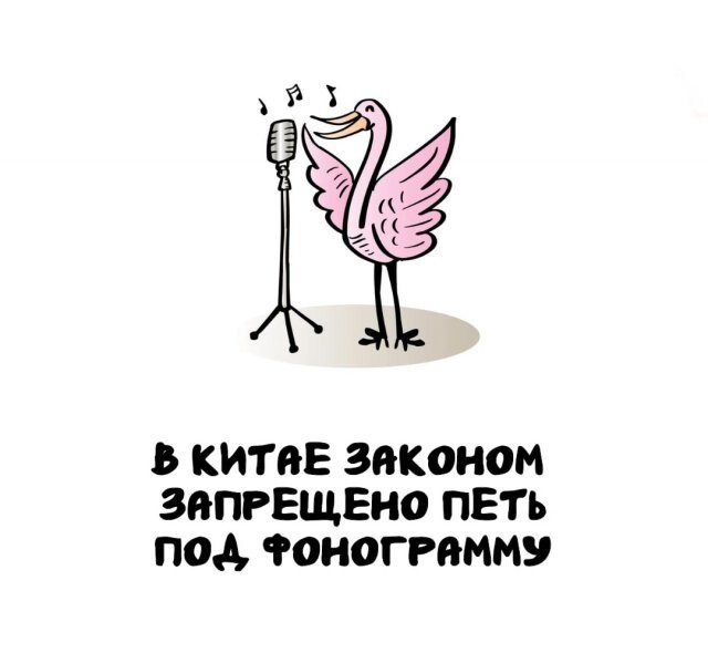 А вдруг ты не знал…