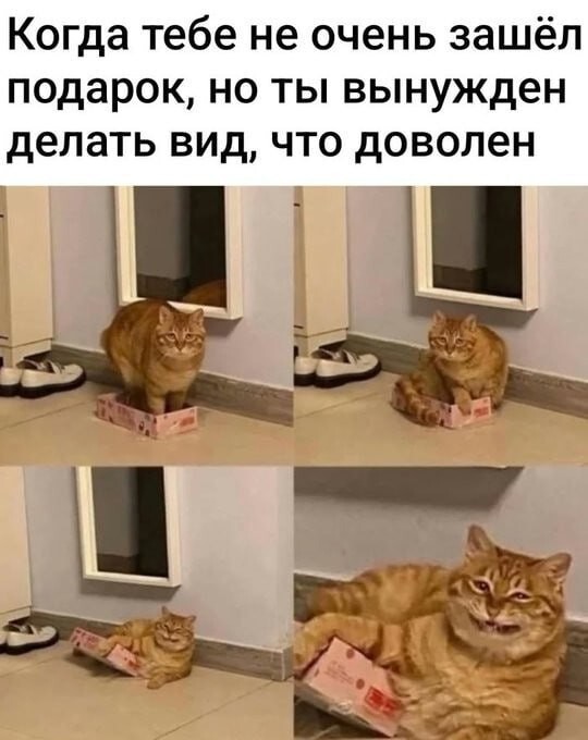 Скрины из соцсетей