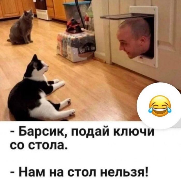 Скрины из соцсетей