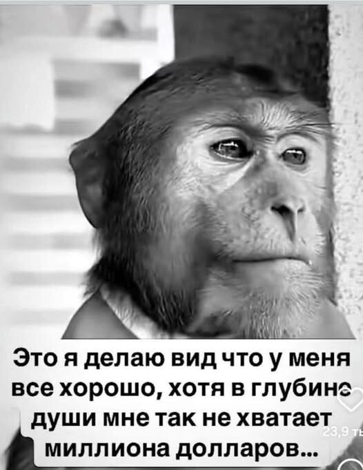 Скрины из соцсетей