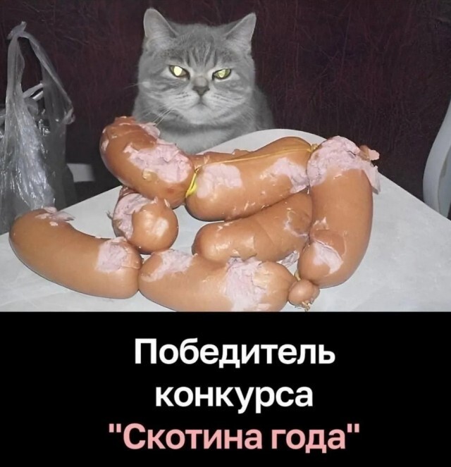 Скрины из соцсетей