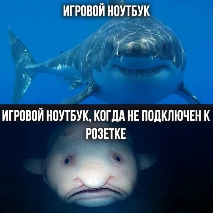 Скрины из соцсетей