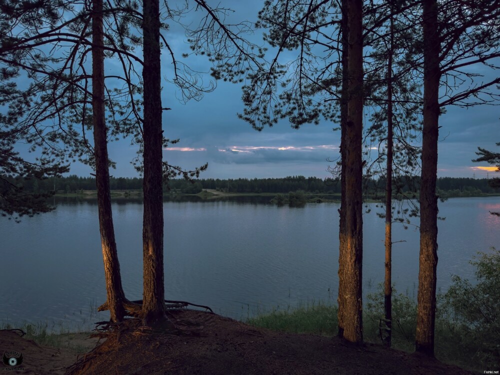Солянка