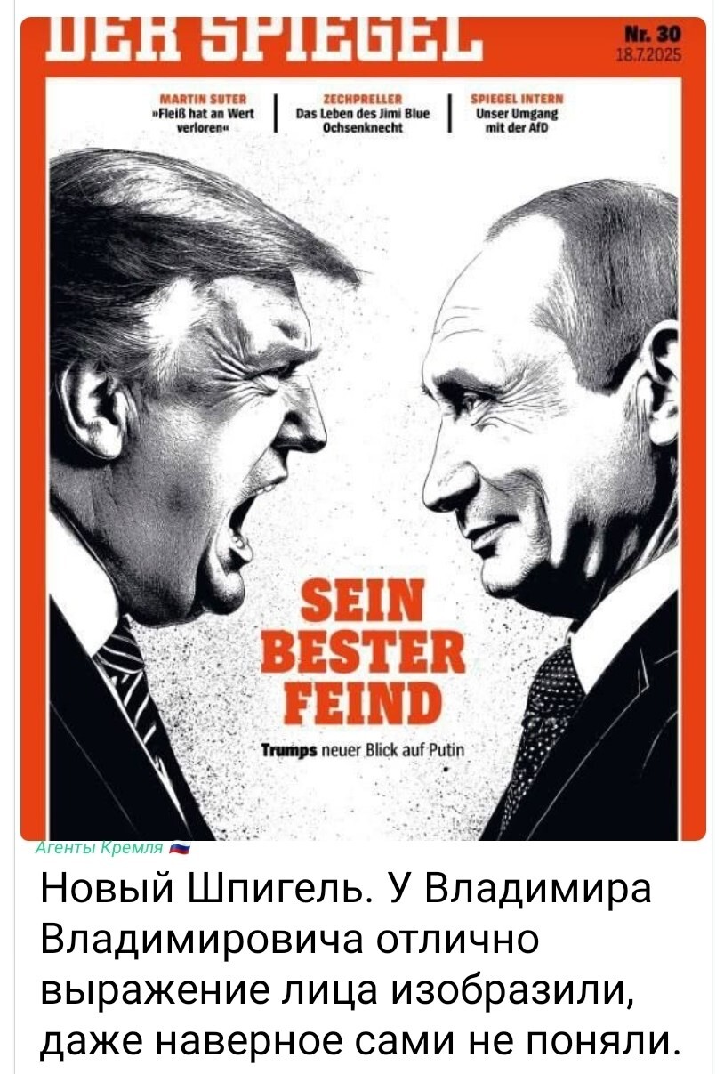 Темнейший выглядит так, как умудренный опытом воспитатель смотрит на расшалившегося карапуза. А вообще, "Над Спасской заря встаёт - собака лает, а Медведь идет"