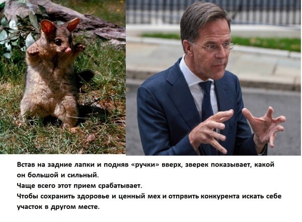 Похоже на правду
