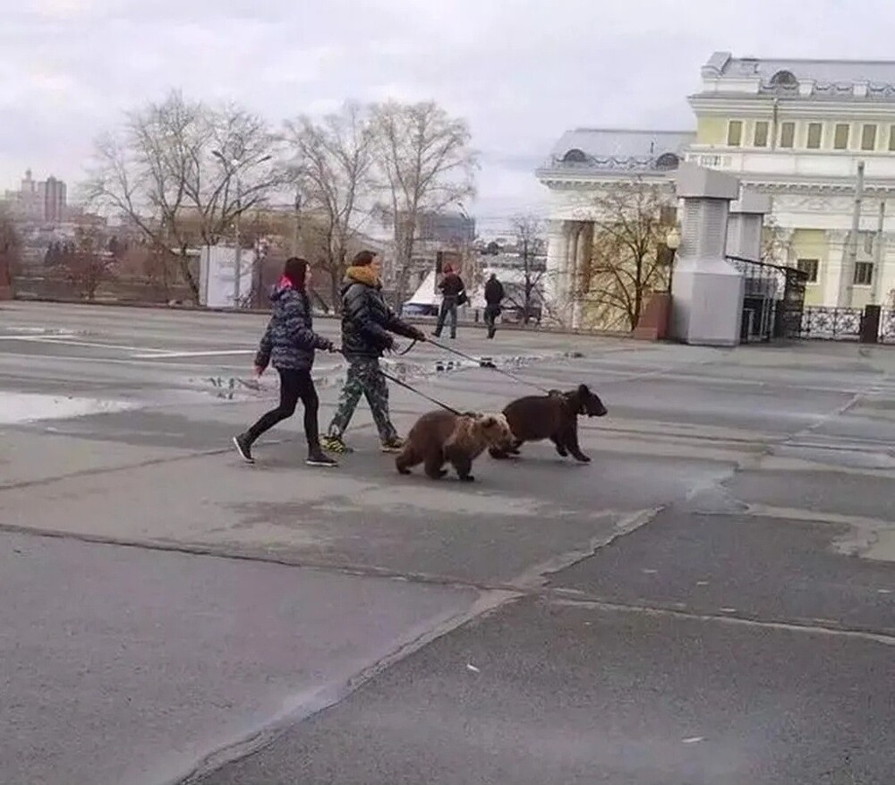 Улыбнись