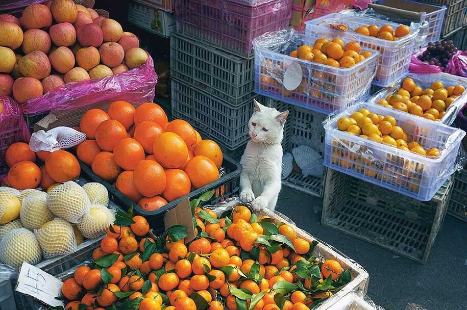 Фотохудожник Тао Лю