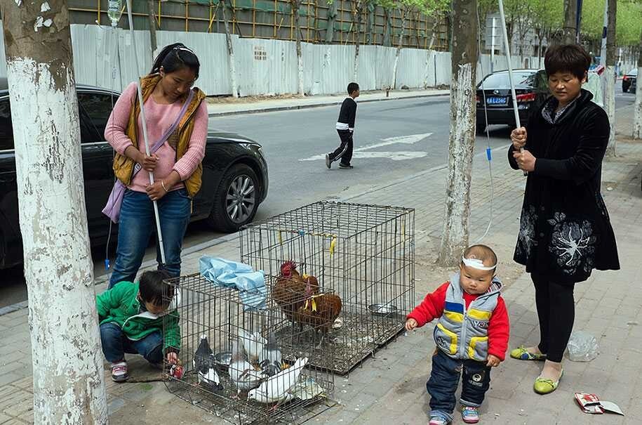 Фотохудожник Тао Лю